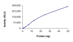 Sino Biological&nbsp;Recombinant Human c-Kit Protein (V560G, N822K, GST Tag), Active